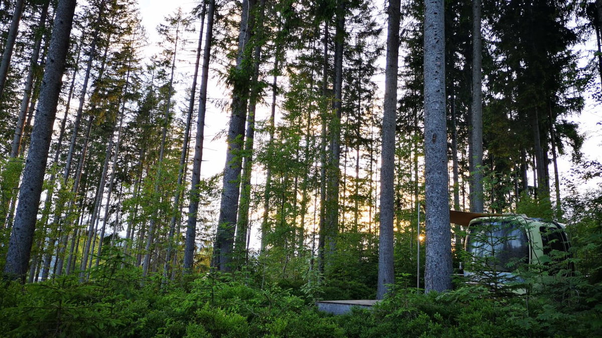 Stille im Wald zwischen Baumzelten und Gondeln
