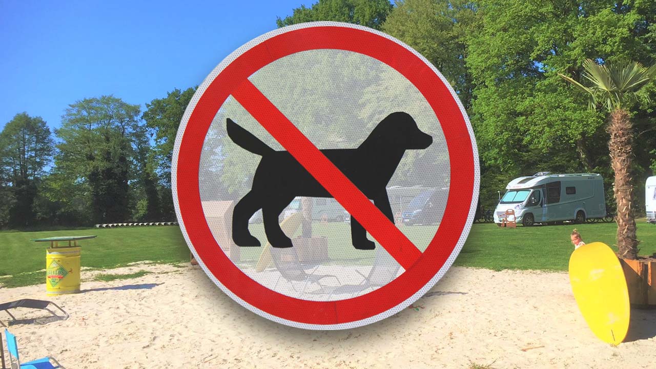 Wir müssen draußen bleiben: Campingplätze ohne Hund in Deutschland und Europa
