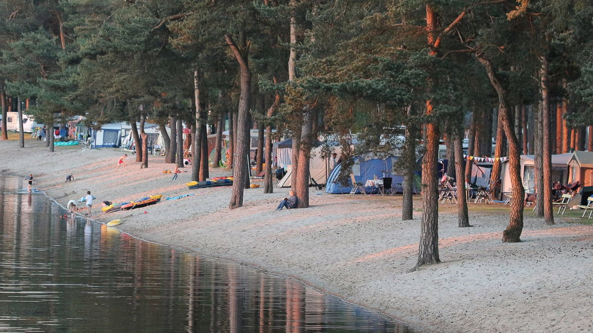 hundefreier Campingplatz Herthasee