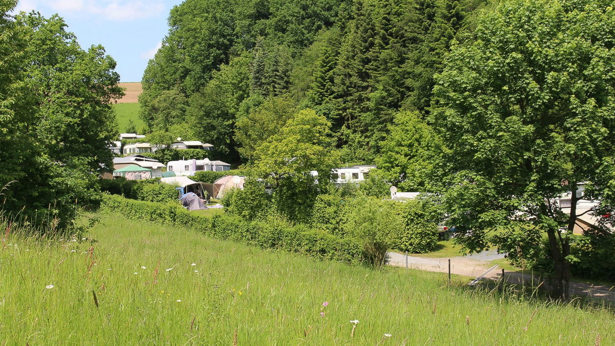 Hundefreier Nibelungen Campingplatz