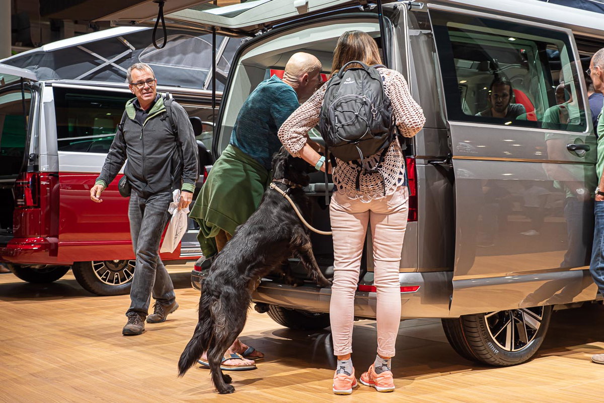 Interessierte Menschen und ein Hund begutachten einen VW California 6.1 Beach Camper auf dem Messestand des Caravan Salon 2019 in Düsseldorf
