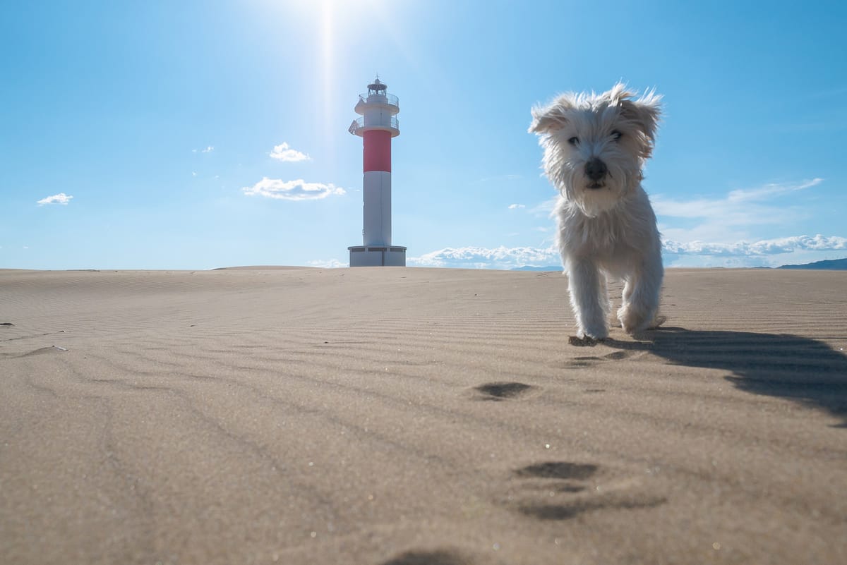 Besuch des Faro Fangar Leuchtturms beim Überwintern in Spanien