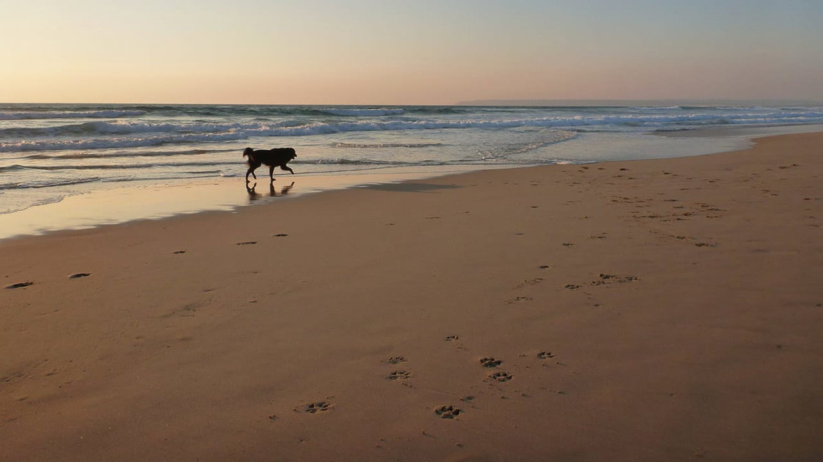 Spaziergang am Strand beim Überwintern in Spanien