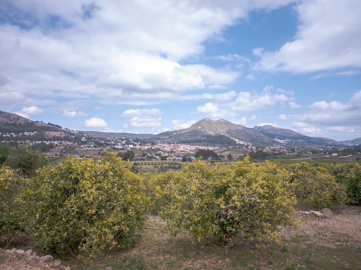 Überwintern in Spanien in der Gegend um Xalo
