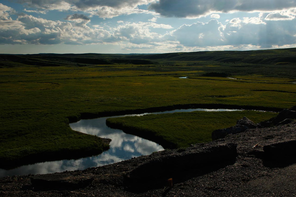 Yellowstone National Park Hayden Valley