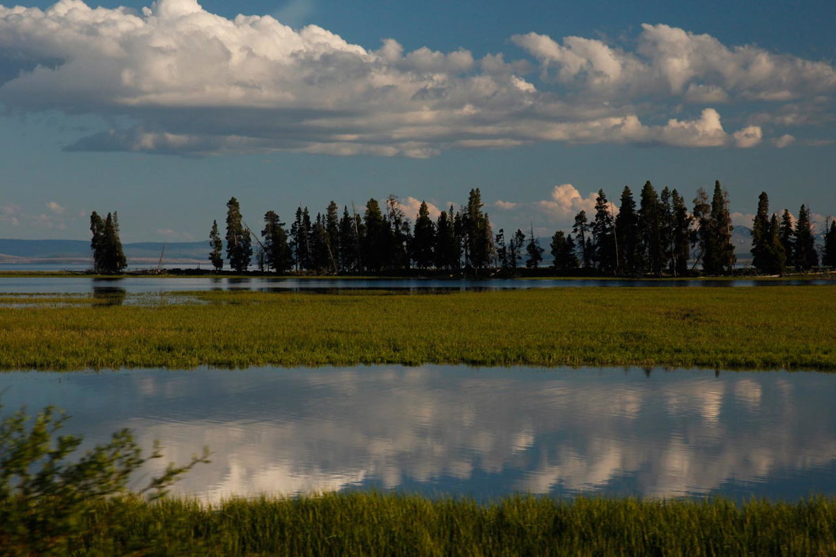 Yellowstone, East Entrance