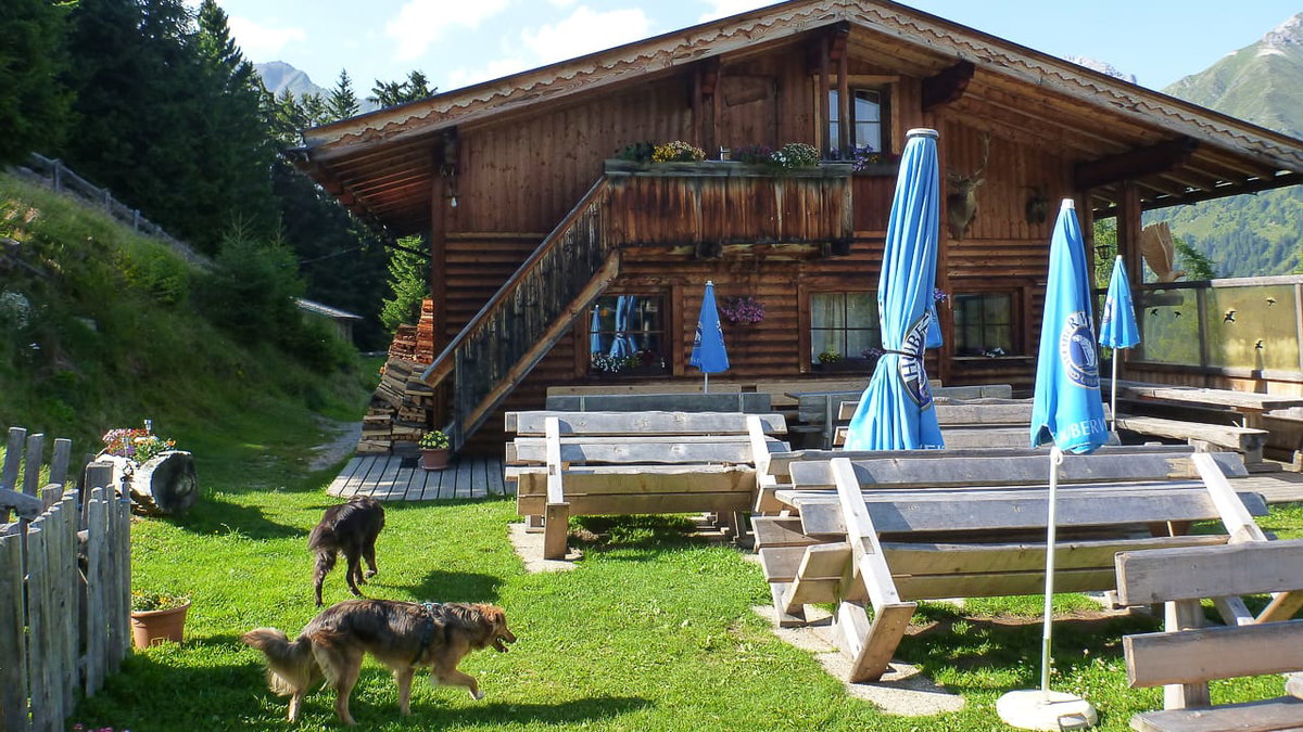 Mit Hunden beim Camping in Österreich