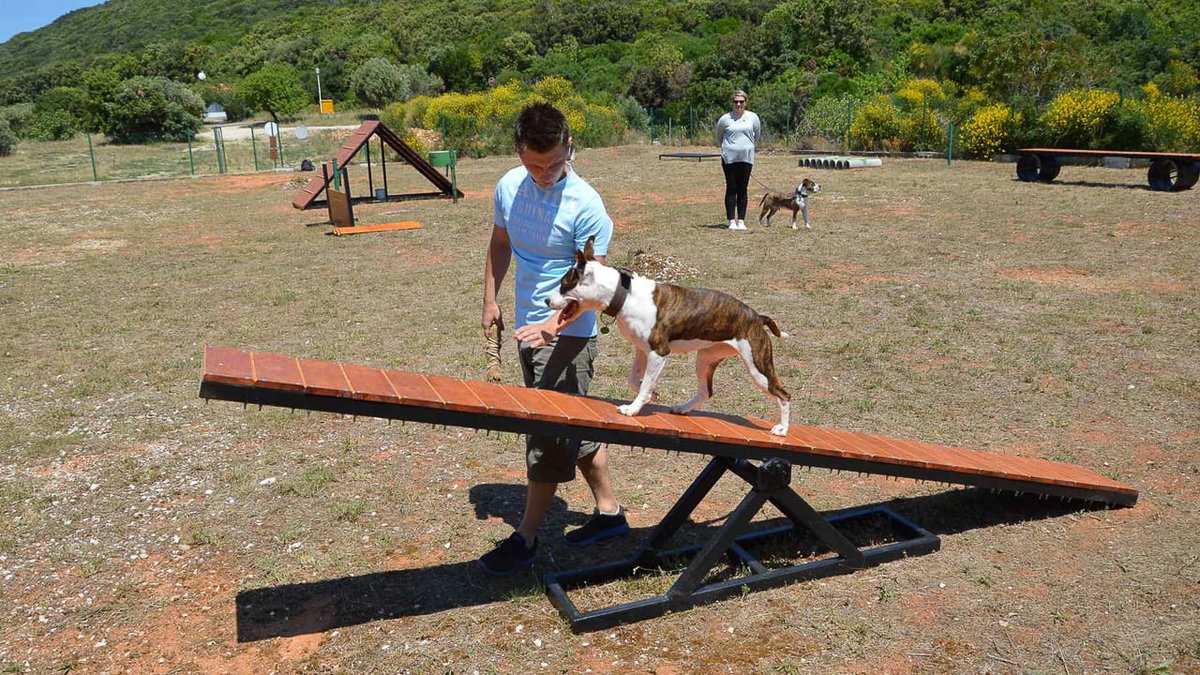 Unternehmungen mit Hund in Kroatien beim Camping