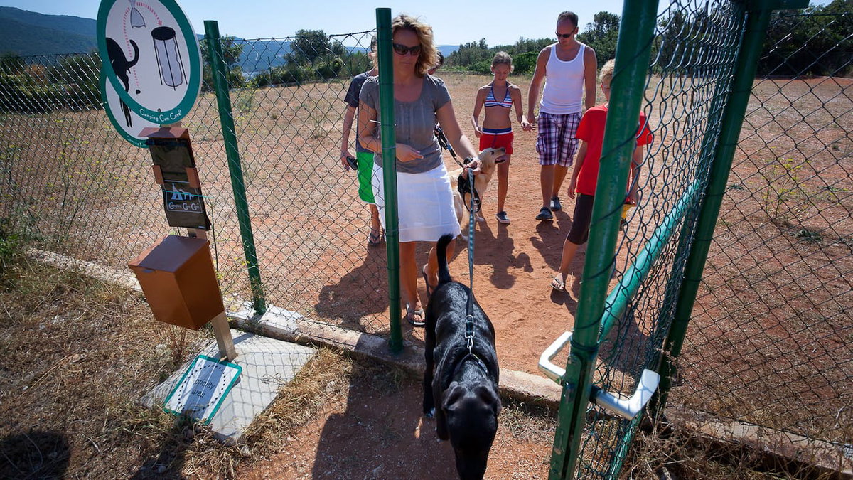 Camping im hundefreundlichen Kroatien mit Hund