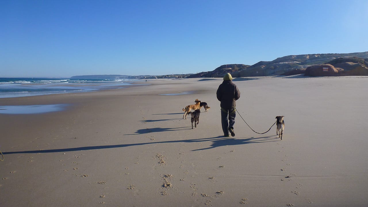 Camping mit Hund in Portugal: Die wichtigsten Regeln und Tipps