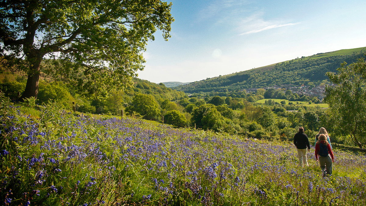Wandern und Camping in Wales