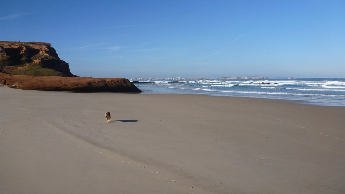 Vorbereitung für Camping Urlaub mit Hund in Portugal