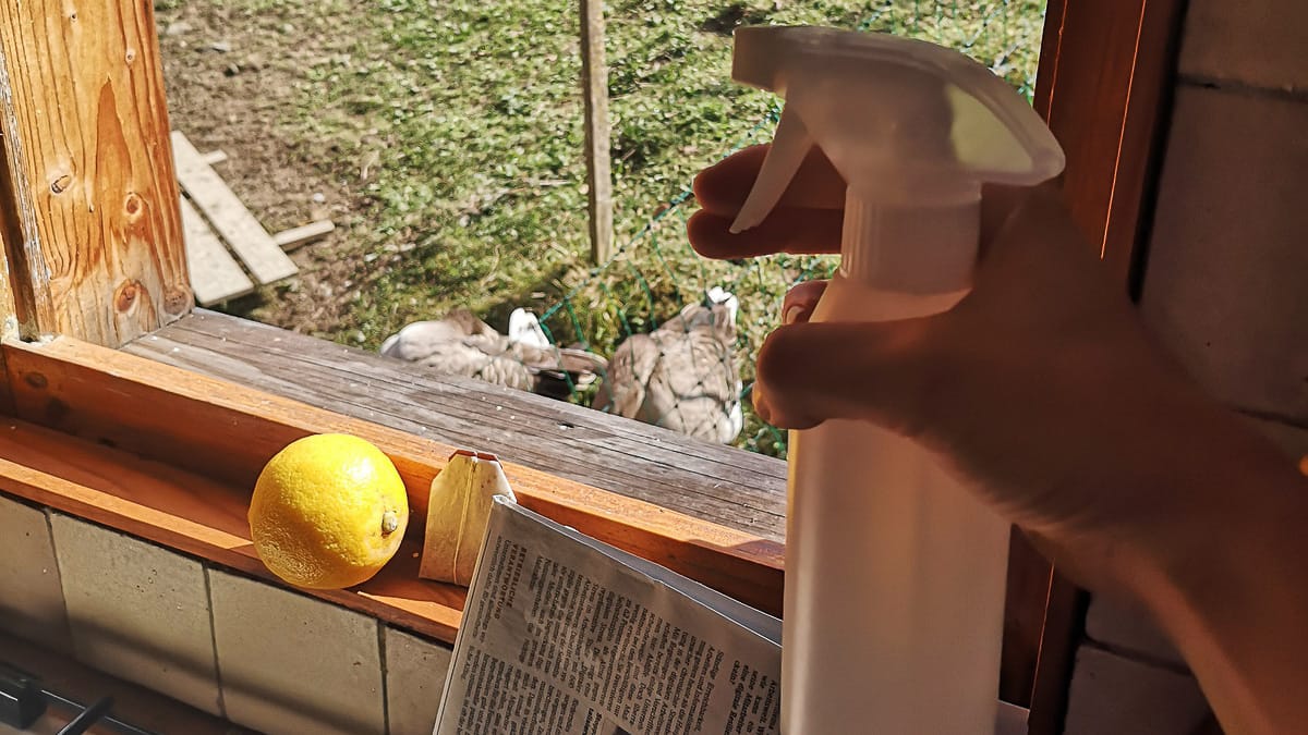 Frühjahrsputz im Camper mit Fensterputzen