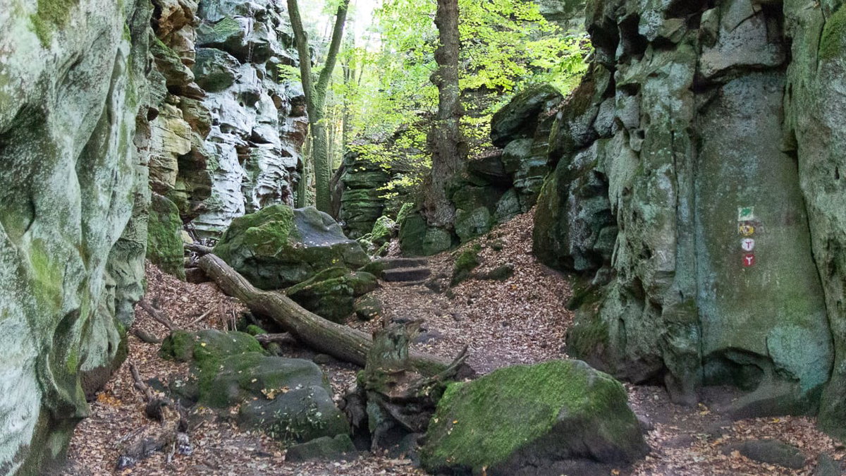 In der Teufelsschlucht beim Urlaub mit Camping in der Eifel
