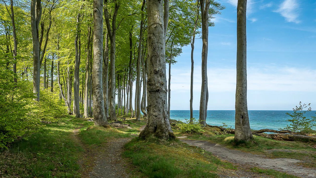 Camping an der Ostsee mit Ausflüge in die Natur