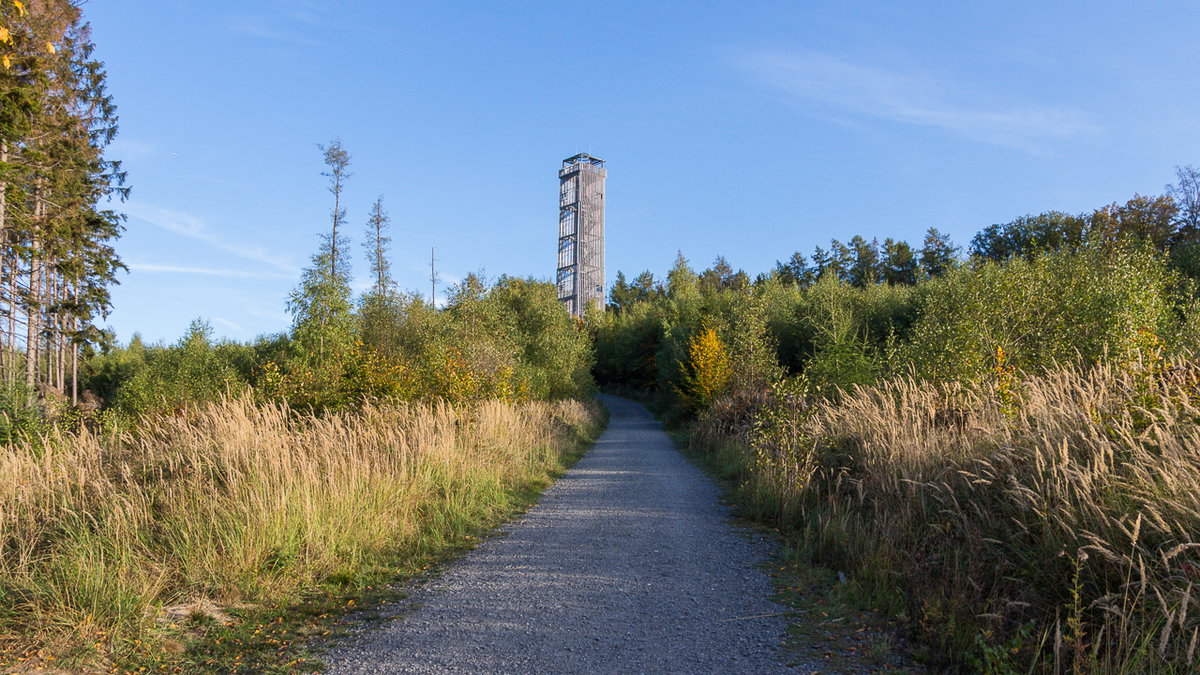 Spaziergang zum MöhneseeTurm beim Urlaub im Sauerland