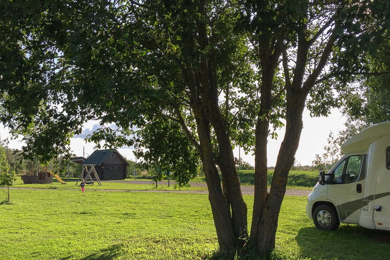 Camping auf dem Bauernhof: Was du für den Urlaub auf dem Land wissen musst