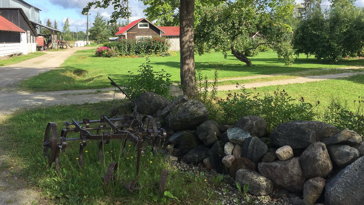 Hübsche Umgebung beim Camping auf dem Bauernhof