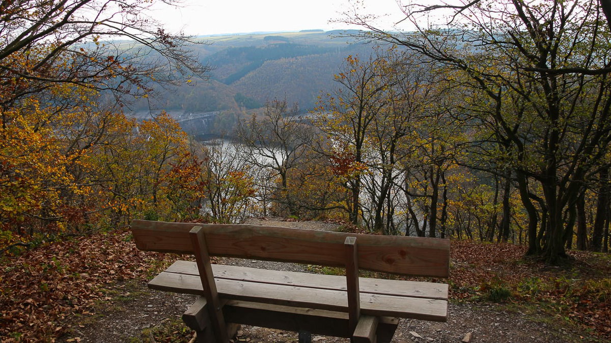 Blick auf den Rursee beim Urlaub mit Camping in der Eifel