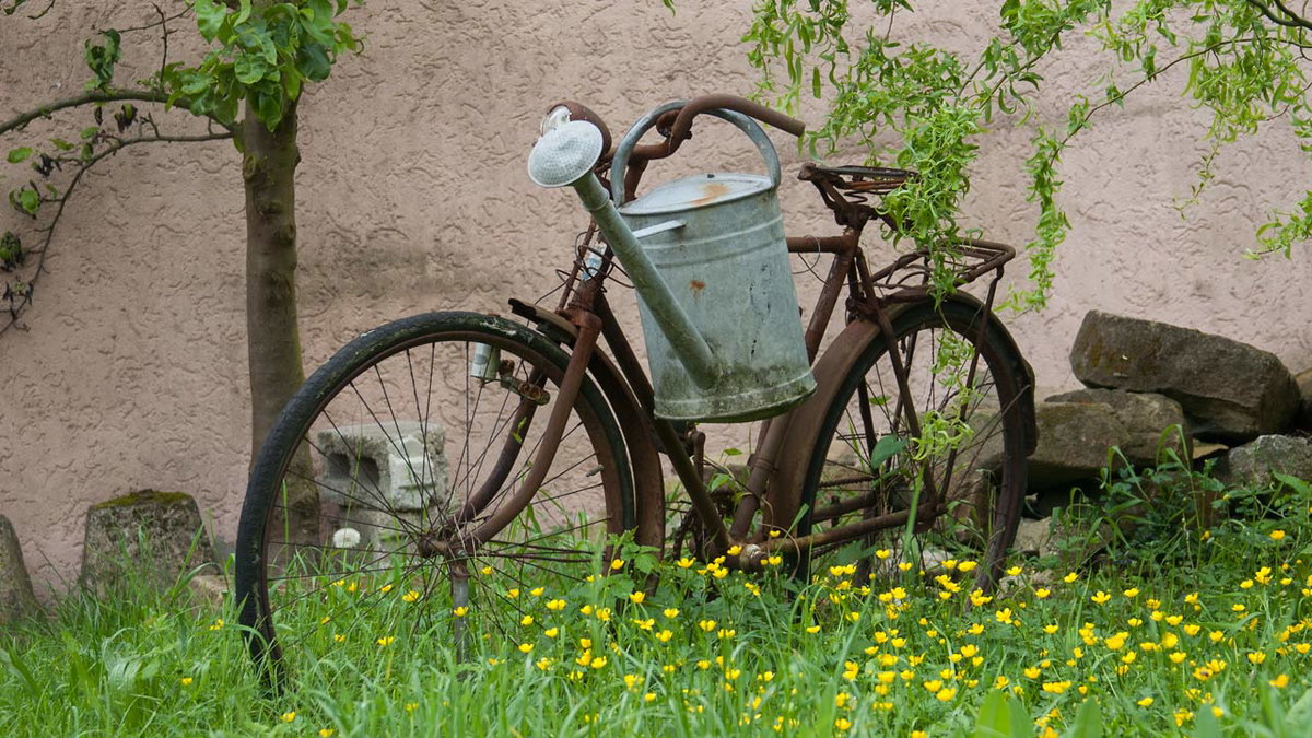 Fundstück am Wegesrand auf einer Wohnmobiltour durch Hohenlohe