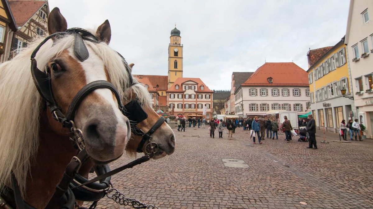 Mit dem Wohnmobil durch Hohenlohe auf einem Pferdemarkt