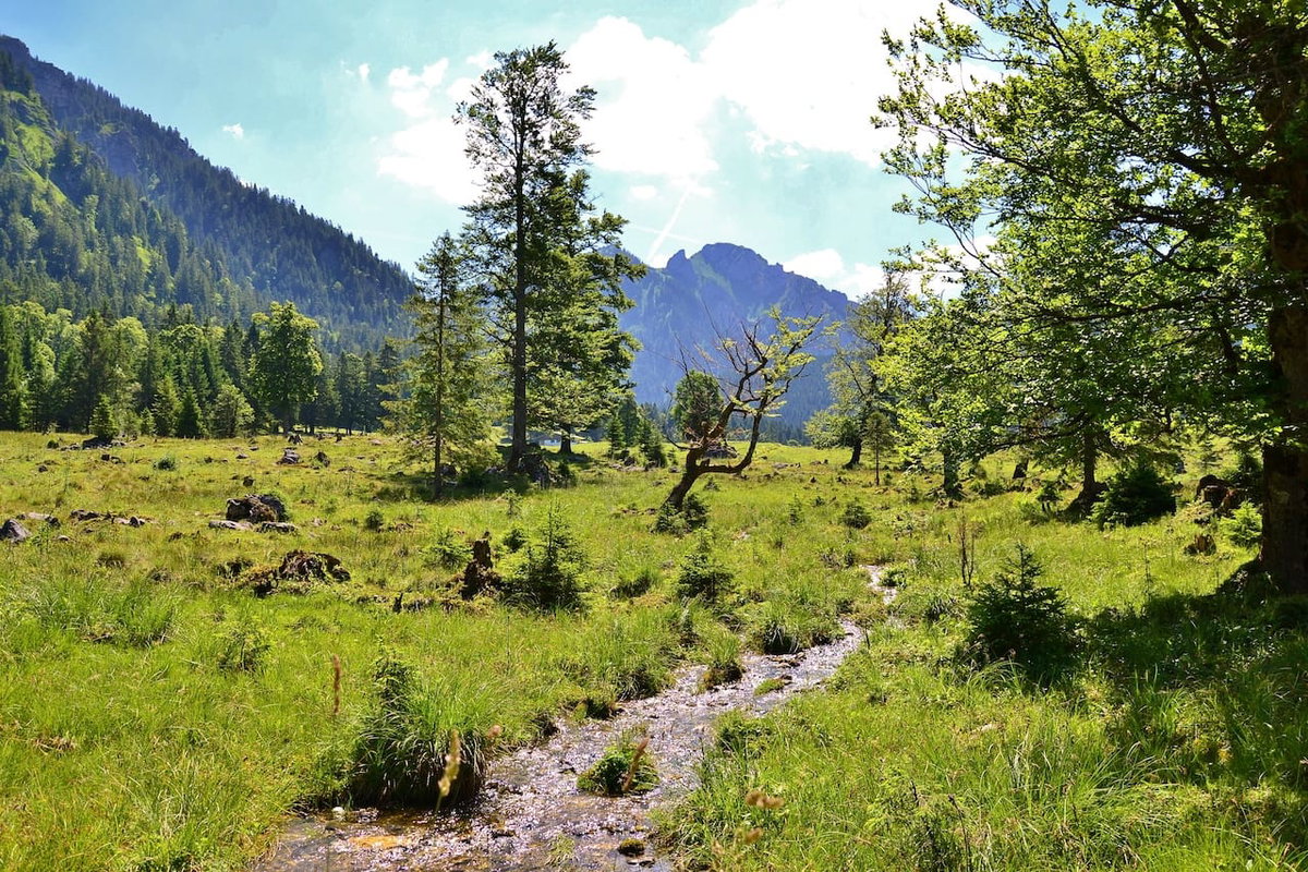 Wanderung beim Camping in Allgäu Bayerisch-Schwaben