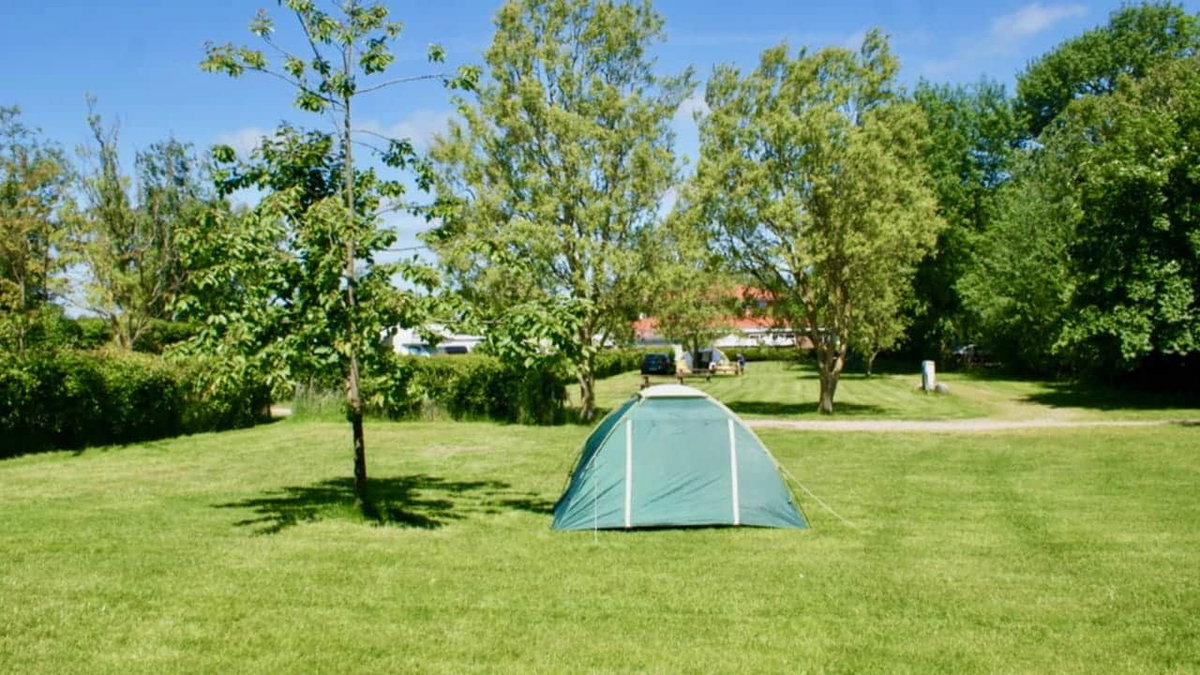 Campingplatz Katharinenhof Camping in Deutschland für Wassersportler