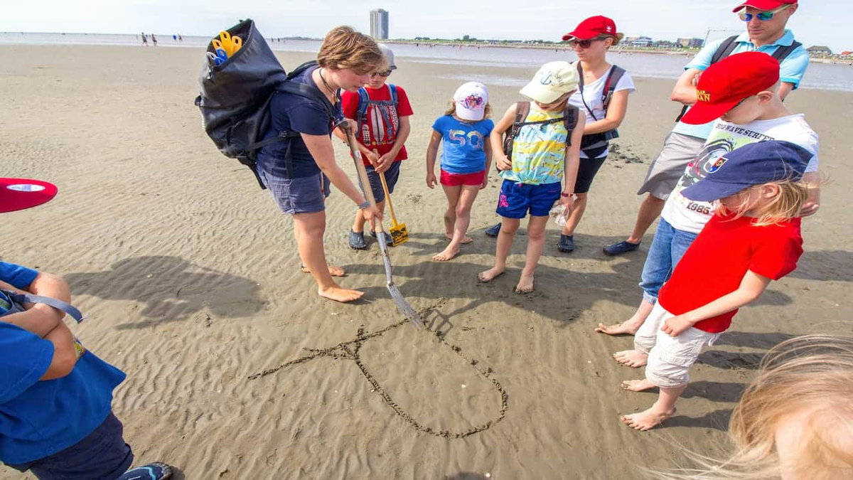 Wattwanderung mit Kindern auf Büsum beim Camping an der Nordsee