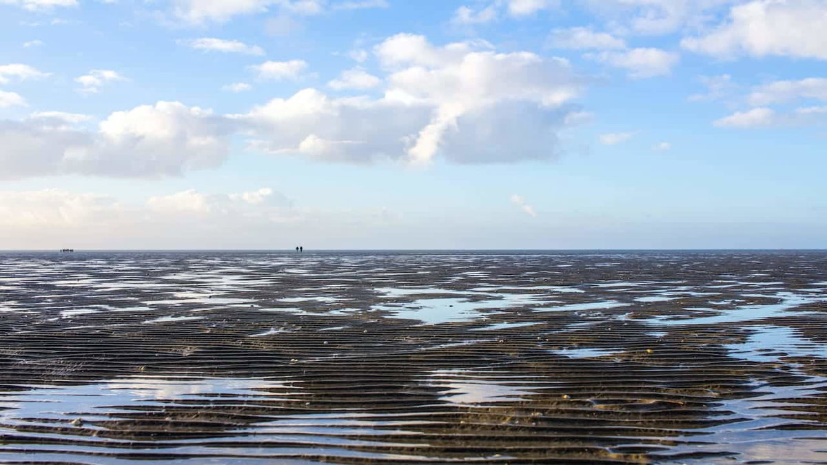 Camping mit Kindern an der Nordsee mit Spaziergang durchs Wattenmeer in Büsum