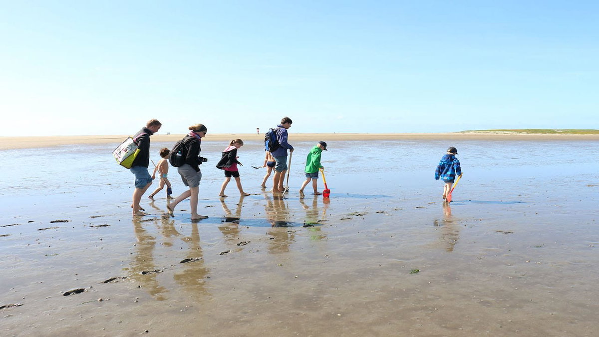 Wattwanderung in Westküstenpark St. Peter-Ording beim Camping mit Kindern an der Nordsee
