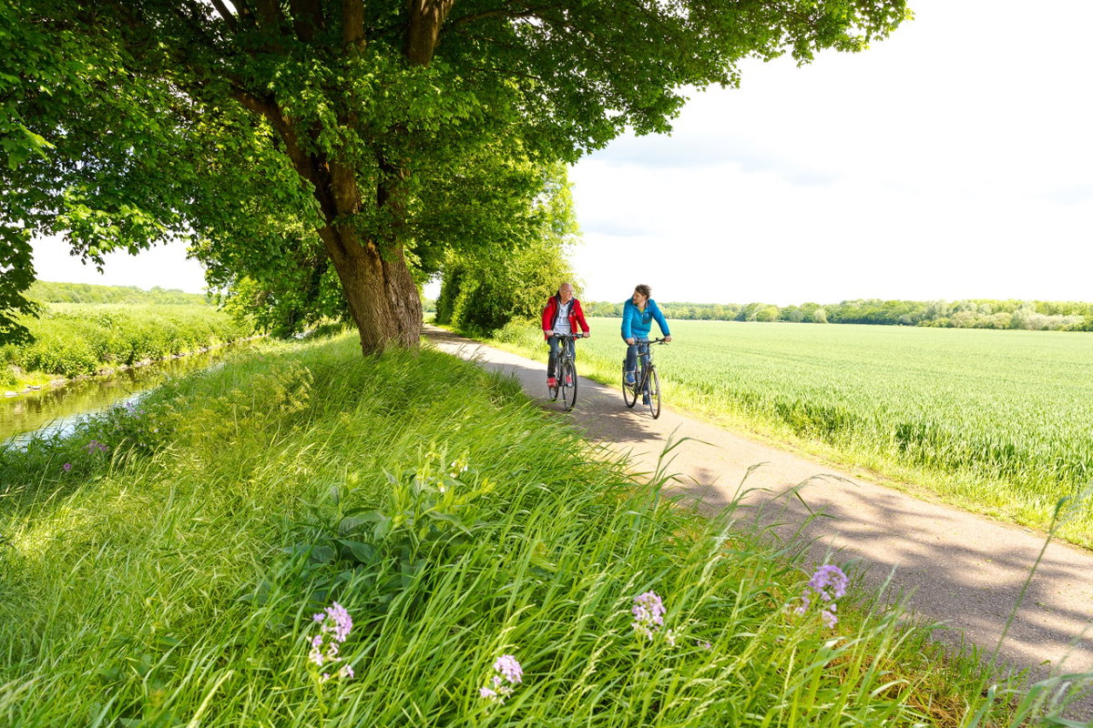 Camping in Köln mit Radtour auf dem Erftradweg