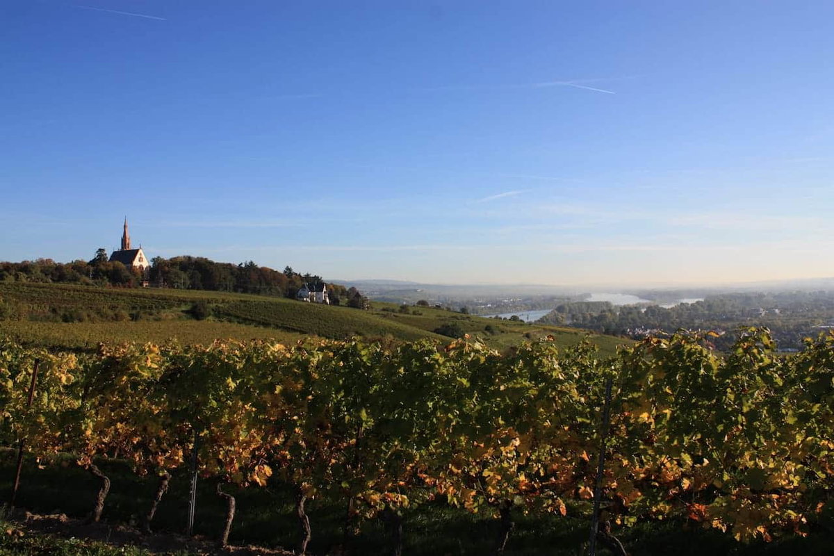 Camping am Mittelrhein in Bingen