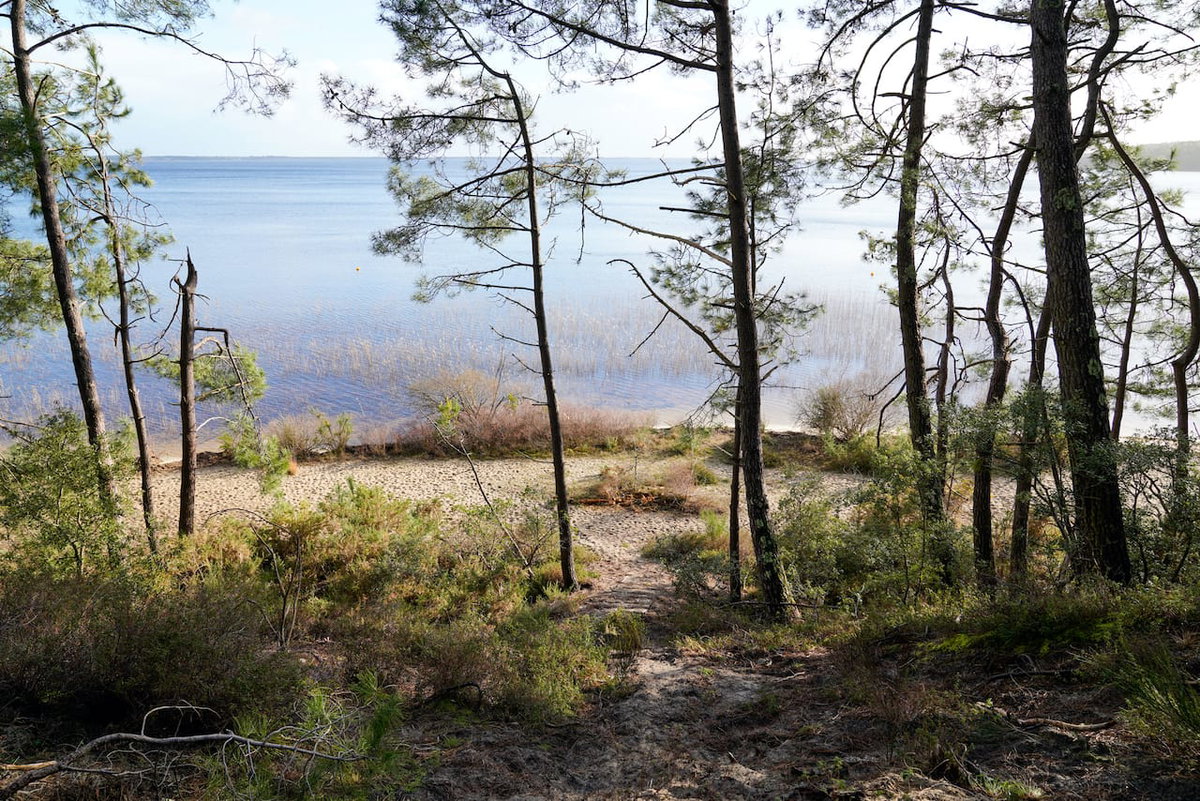 Lac Biscarrosse beim Camping mit Kind in Nouvelle Aquitaine