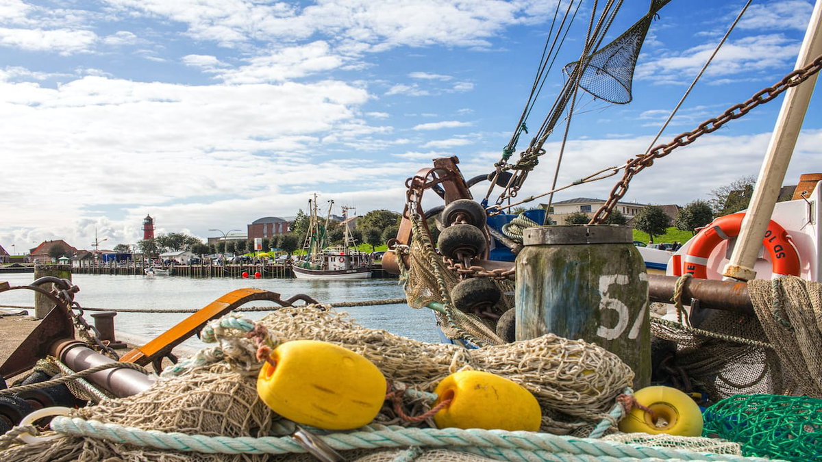 Der Hafen von Büsum als Ziel beim Camping mit Kindern an der Nordsee