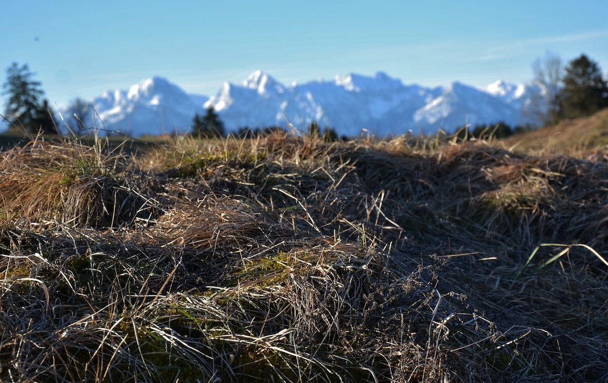 Die Tannheimer Alpen beim Camping in Allgäu Bayerisch-Schwaben