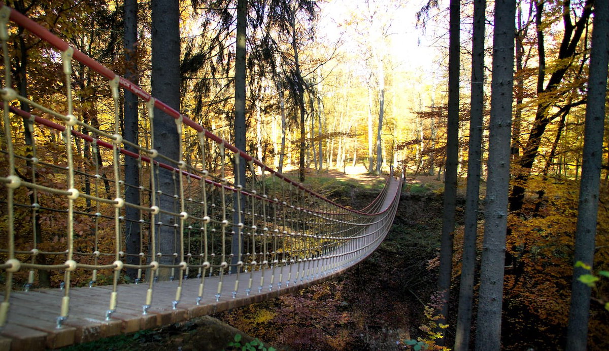 Hängebrücke in Bingen am Rhein beim Camping am Mittelrhein