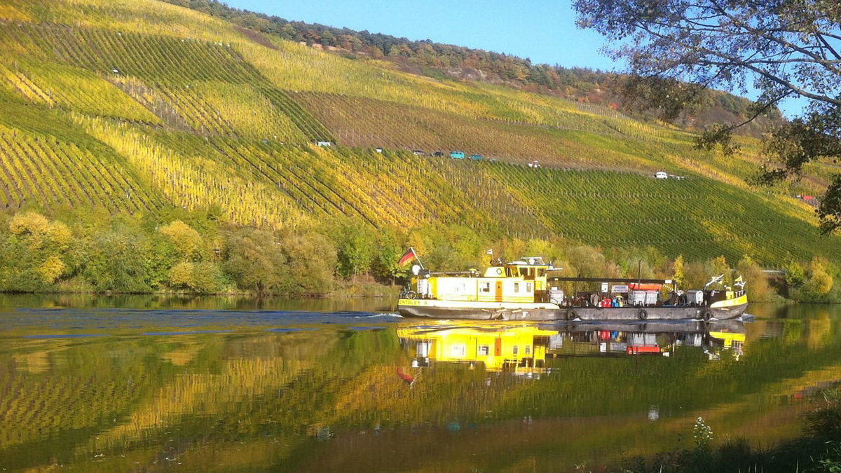 Weinlese und Camping an der Mosel