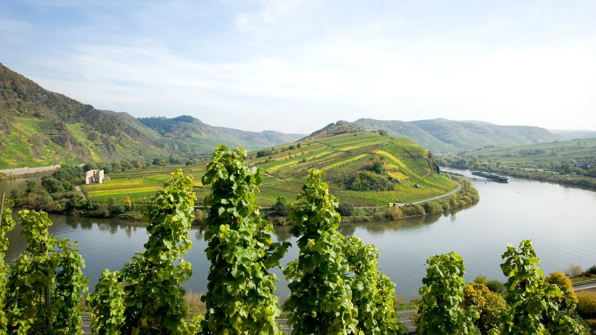 Ausflug zur Moselschleife beim Camping an der Mosel