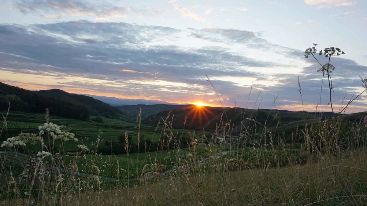 Camping am Oberrhein mit Sonnenuntergang am Vogelsangpass