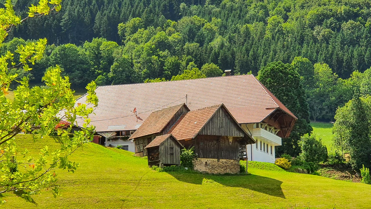 Camping im Schwarzwald: Natur und Kultur im größten Mittelgebirge Deutschlands