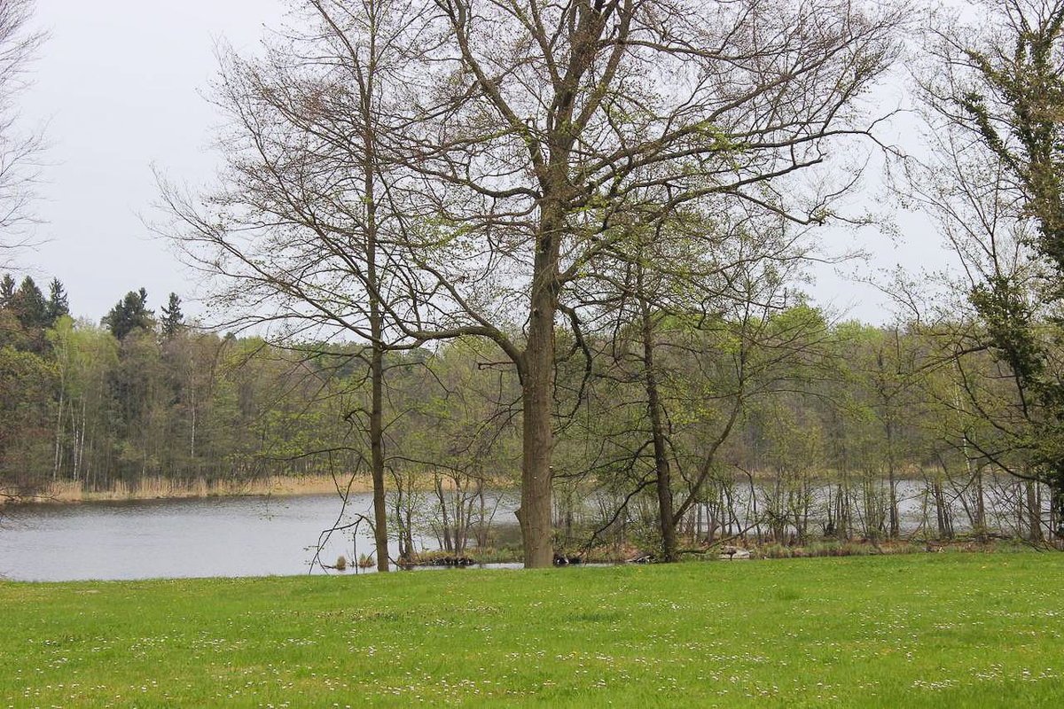 Blick auf den Amtsee beim Urlaub mit Camping in der Uckermark