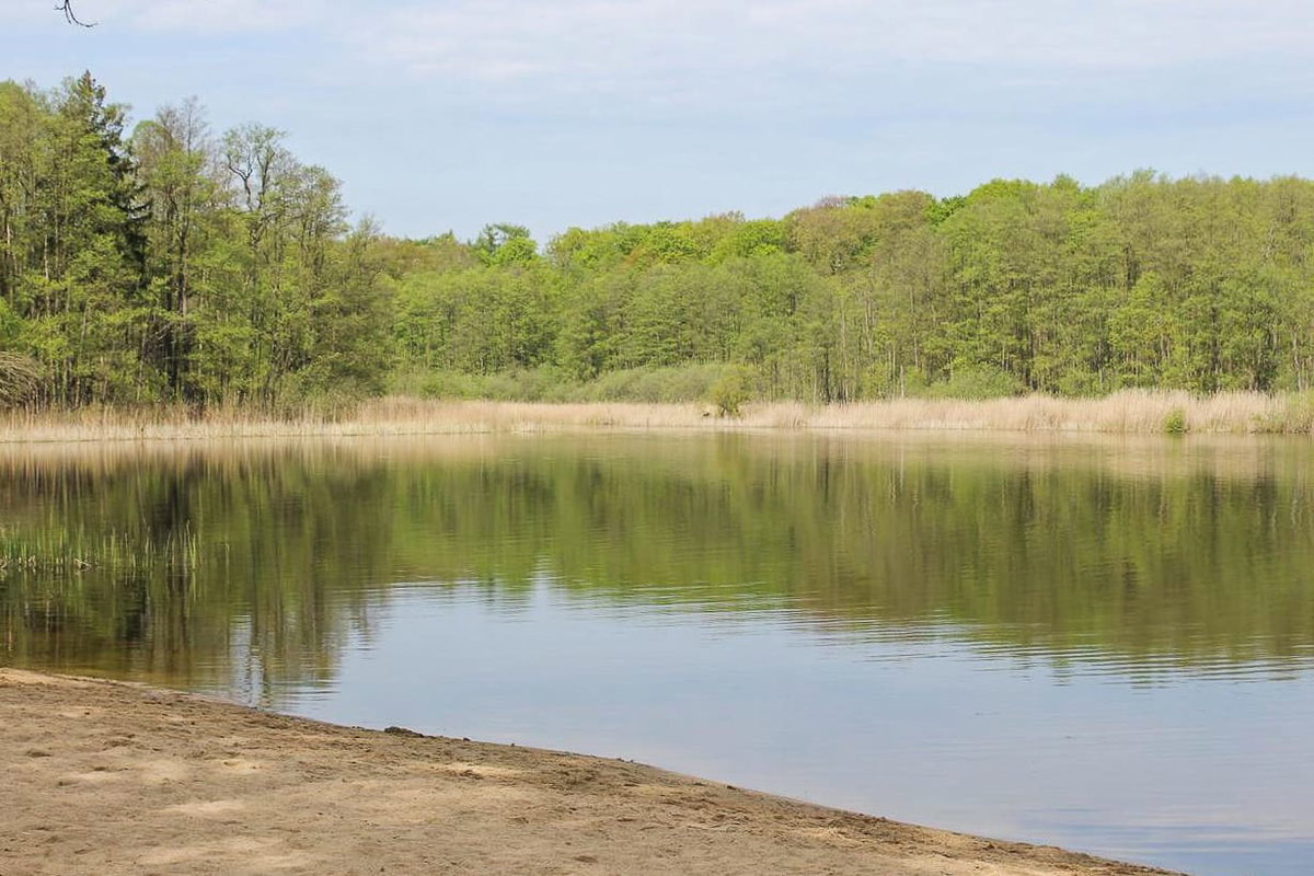 Der Grosse Karpfenteich beim Camping in der Uckermark