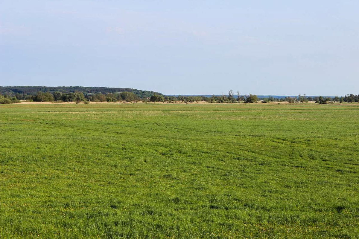 Nationalpark Unteres Odertal beim Camping in der Uckermark