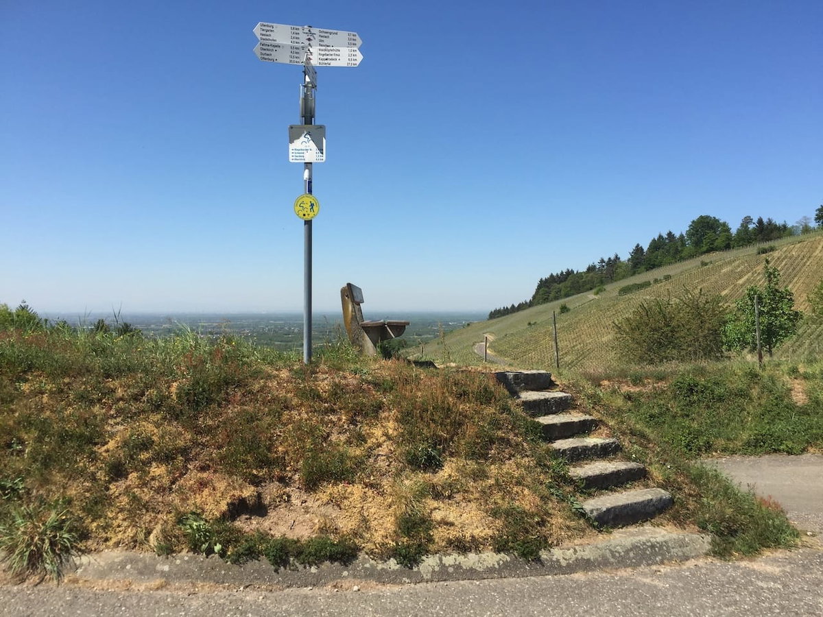 Wandern und Camping am Oberrhein
