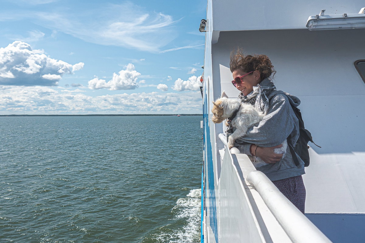Auf der Fähre mit Hund