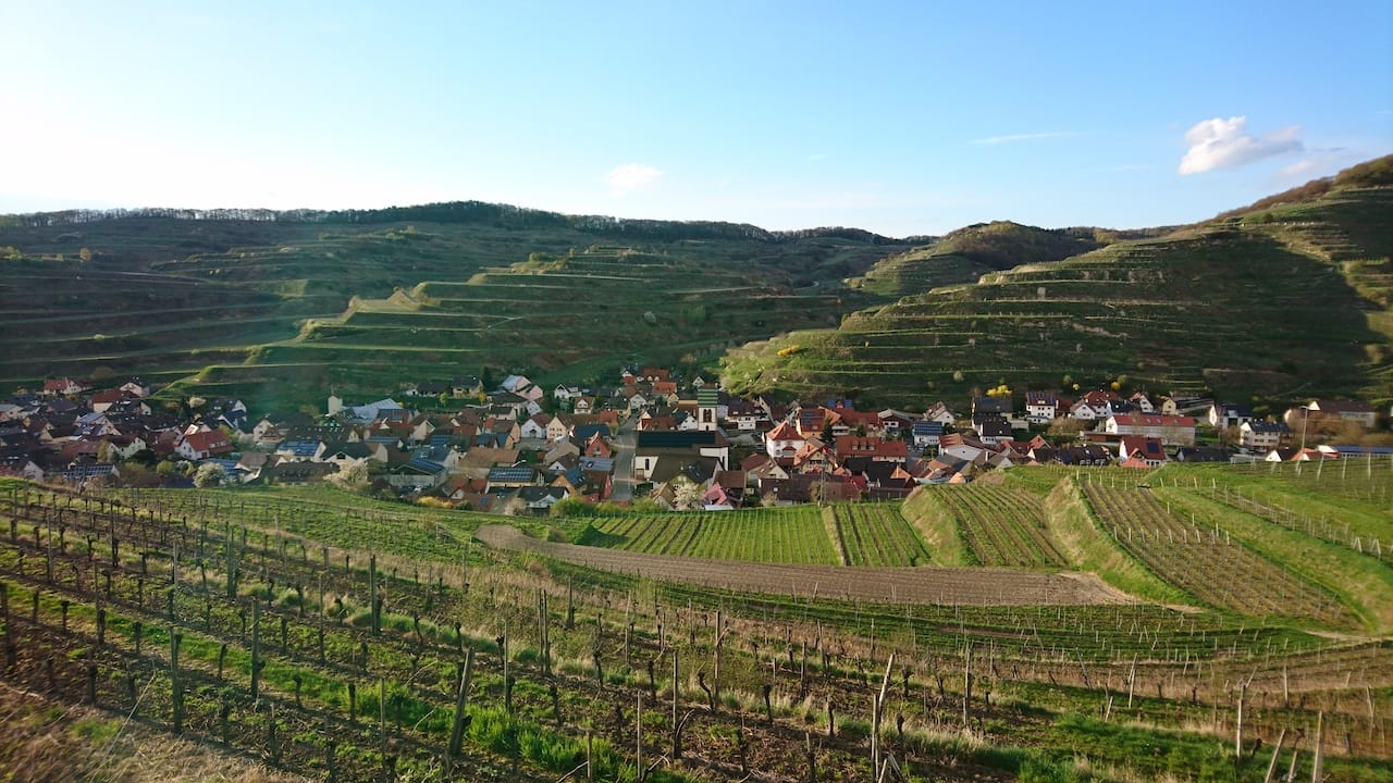 Camping am Oberrhein: Tolle Tipps von Bingen bis Basel