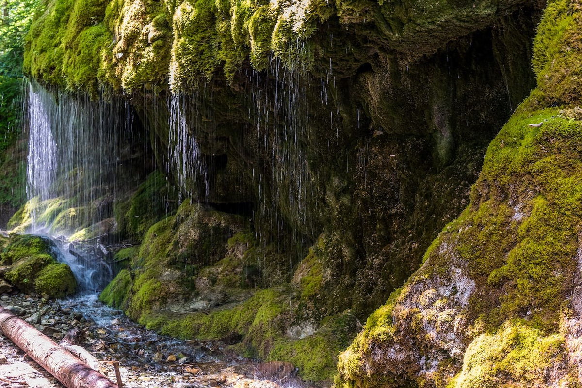 Wanderung des Schluchtensteigs beim Camping am Hochrhein