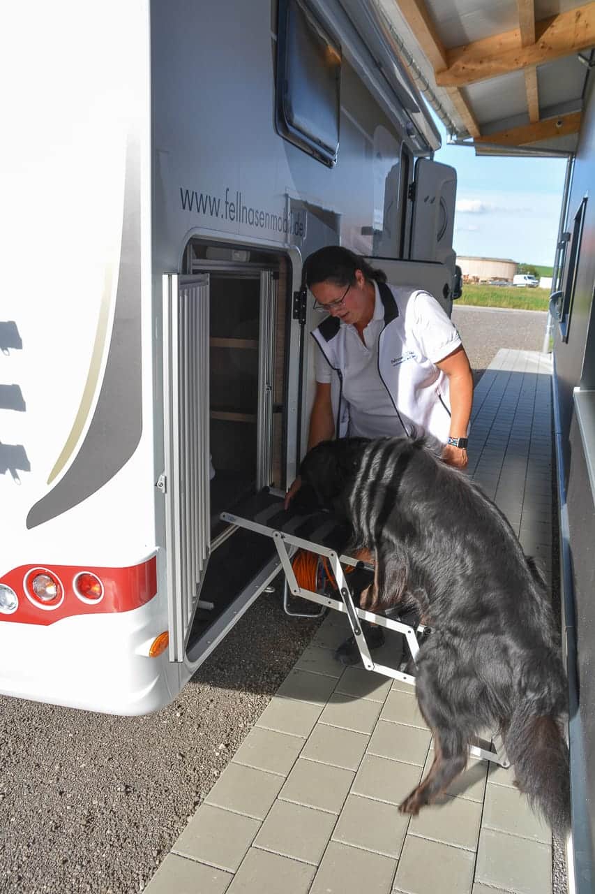 Eine Treppe führt in das Hundezimmer vom Fellnasenmobil
