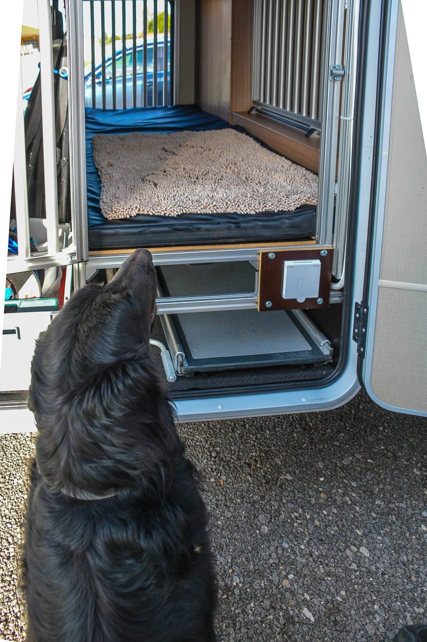 Hundezimmer im Fellnasenmobil einem Wohnmobil für Hunde