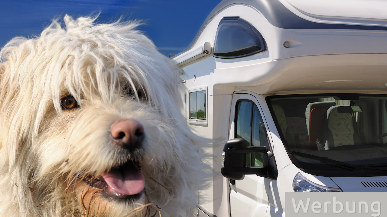 Wohnmobil mieten mit Hund